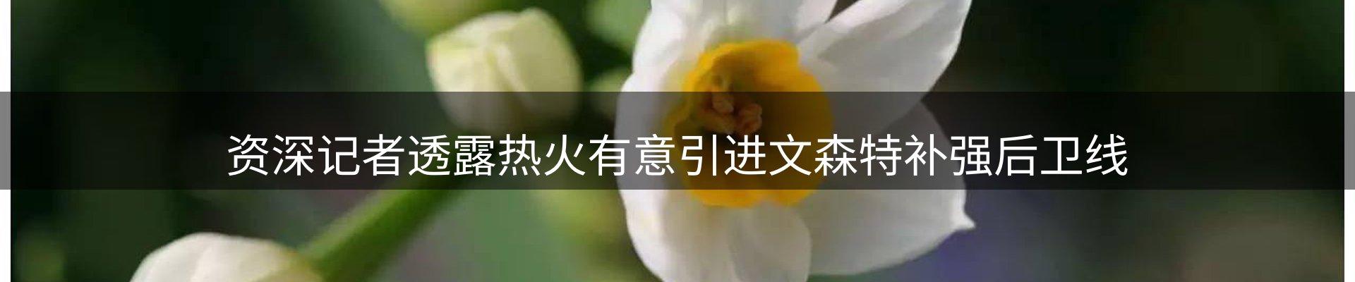 焦点集萃
